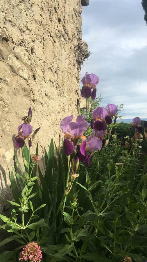Christine Villa Bonnieux Dış mekan fotoğraf